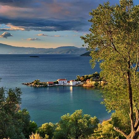 Villa Leonidas Greecefiloxenia 莱福卡斯特龙 外观 照片