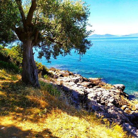 Villa Leonidas Greecefiloxenia 莱福卡斯特龙 外观 照片