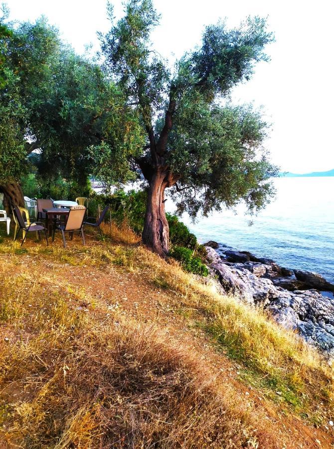 Villa Leonidas Greecefiloxenia 莱福卡斯特龙 外观 照片