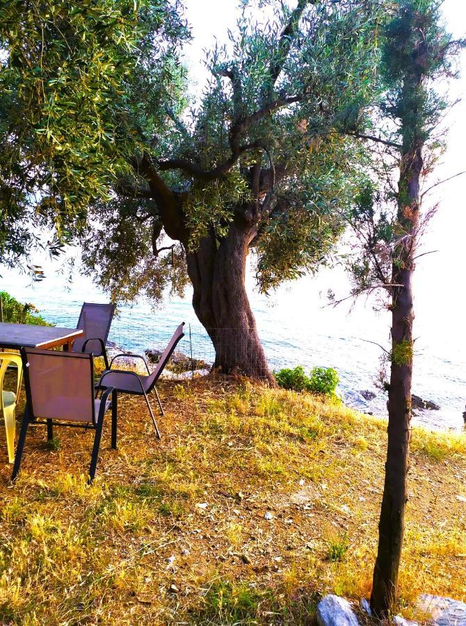 Villa Leonidas Greecefiloxenia 莱福卡斯特龙 外观 照片