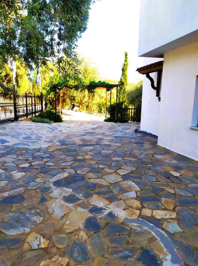 Villa Leonidas Greecefiloxenia 莱福卡斯特龙 外观 照片