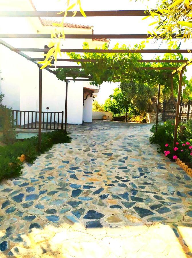 Villa Leonidas Greecefiloxenia 莱福卡斯特龙 外观 照片