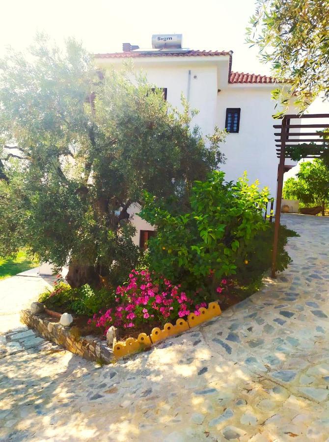 Villa Leonidas Greecefiloxenia 莱福卡斯特龙 外观 照片