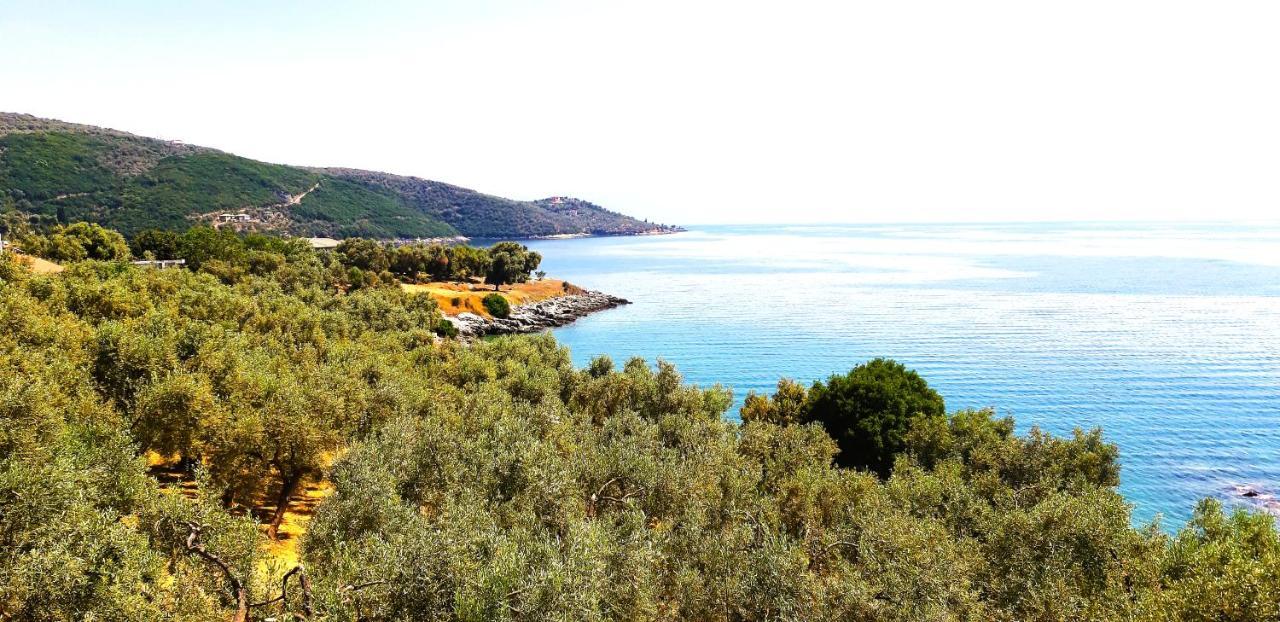 Villa Leonidas Greecefiloxenia 莱福卡斯特龙 外观 照片