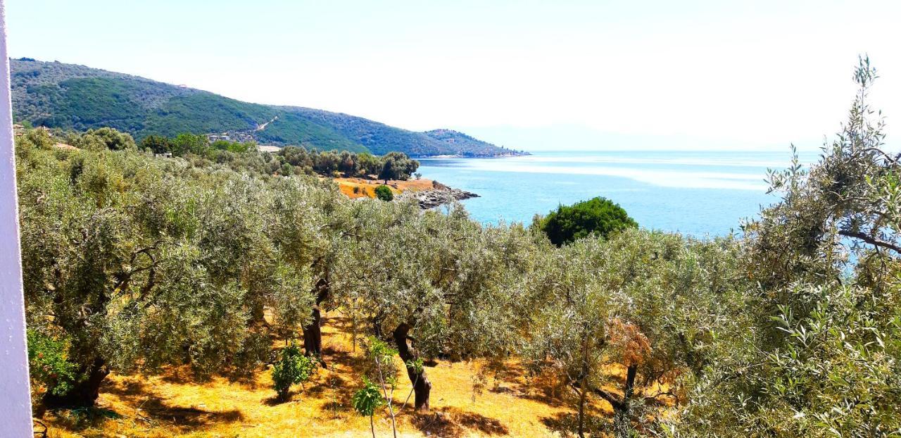 Villa Leonidas Greecefiloxenia 莱福卡斯特龙 外观 照片