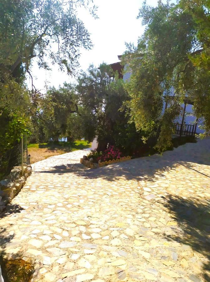 Villa Leonidas Greecefiloxenia 莱福卡斯特龙 外观 照片