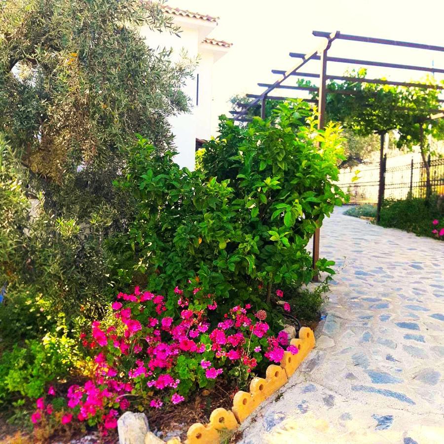 Villa Leonidas Greecefiloxenia 莱福卡斯特龙 外观 照片