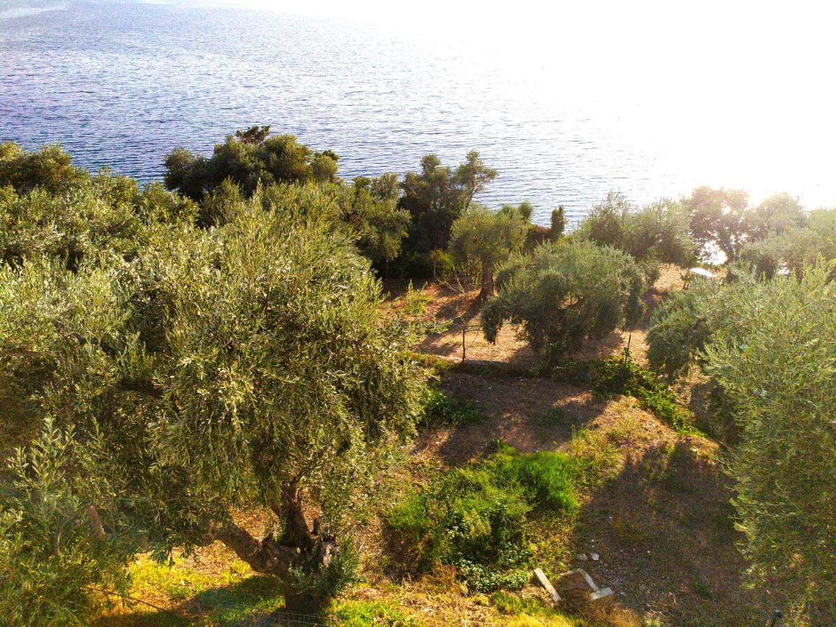 Villa Leonidas Greecefiloxenia 莱福卡斯特龙 外观 照片