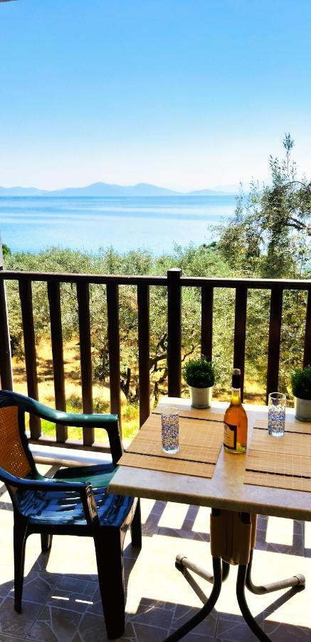 Villa Leonidas Greecefiloxenia 莱福卡斯特龙 外观 照片