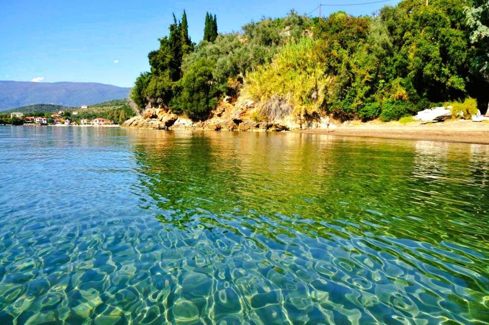 Villa Leonidas Greecefiloxenia 莱福卡斯特龙 外观 照片