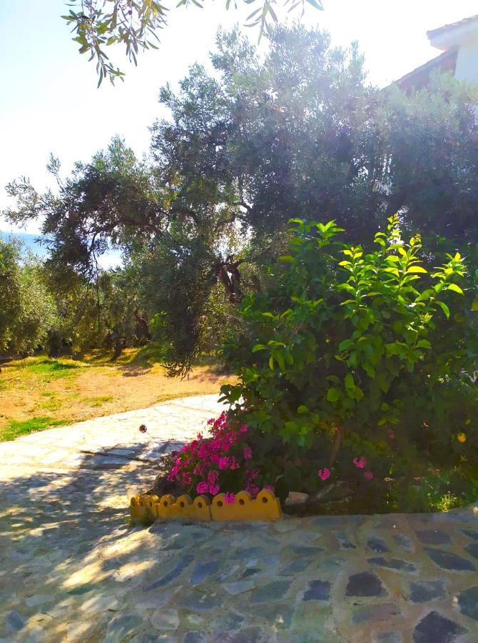 Villa Leonidas Greecefiloxenia 莱福卡斯特龙 外观 照片